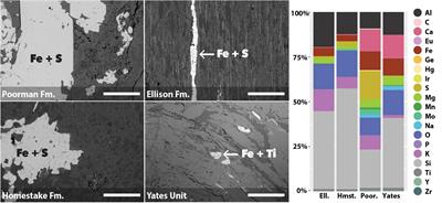 Rock-Hosted Subsurface Biofilms: Mineral Selectivity Drives Hotspots for Intraterrestrial Life